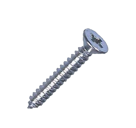 Self Tapping Screw : (STS) 